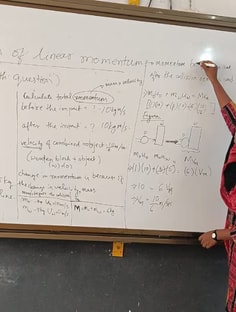 Profile photo of Naincy Kiro, undefined tutor at Wiingy