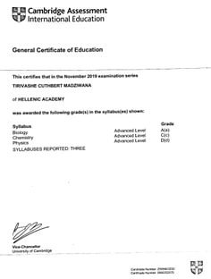 Profile photo of Tirivashe  Madziwana, undefined tutor at Wiingy