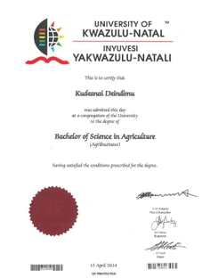 Profile photo of Kudzanai  Dzindimu, undefined tutor at Wiingy