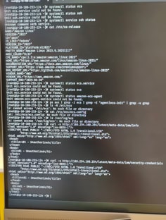 Profile photo of Enayat Kareem, undefined tutor at Wiingy