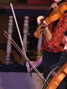 Profile photo of Elise Watten, undefined tutor at Wiingy