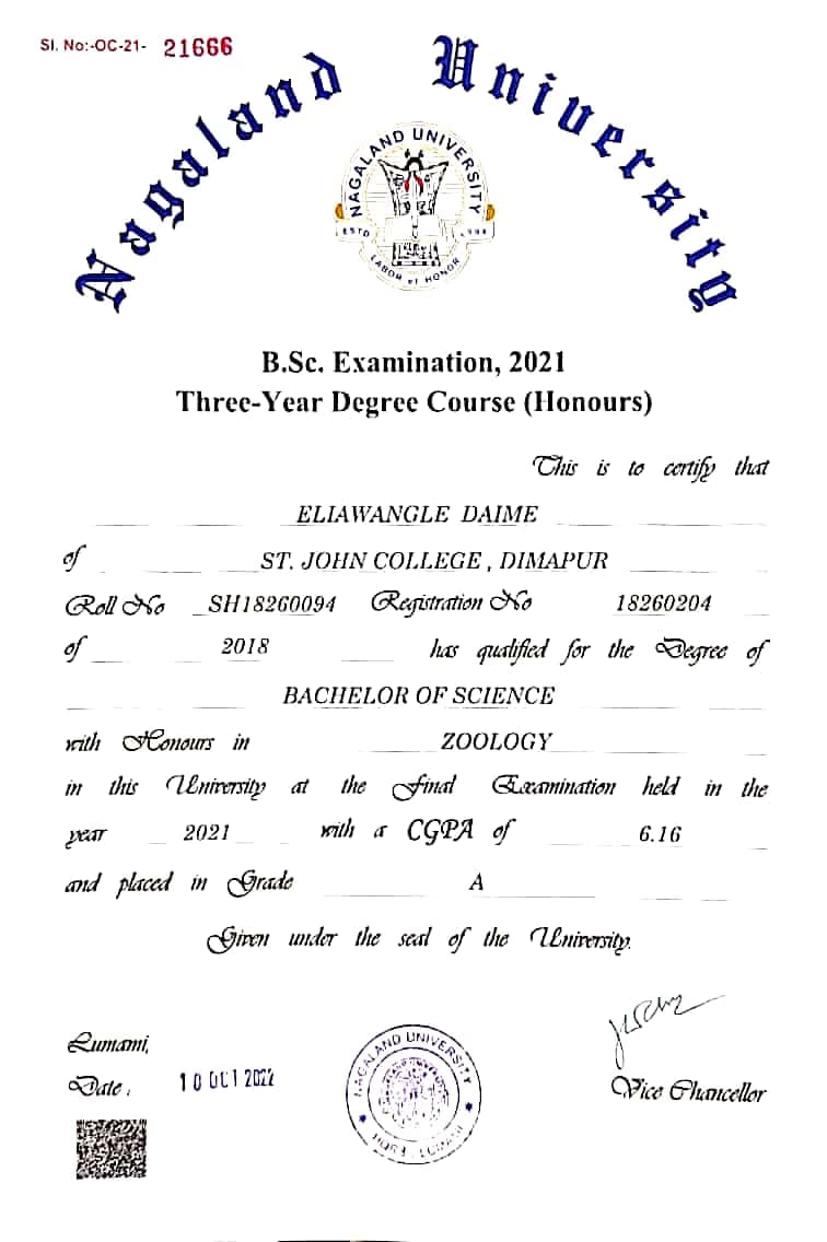 Eliawangle graduated from Kohima Science College Jotsoma