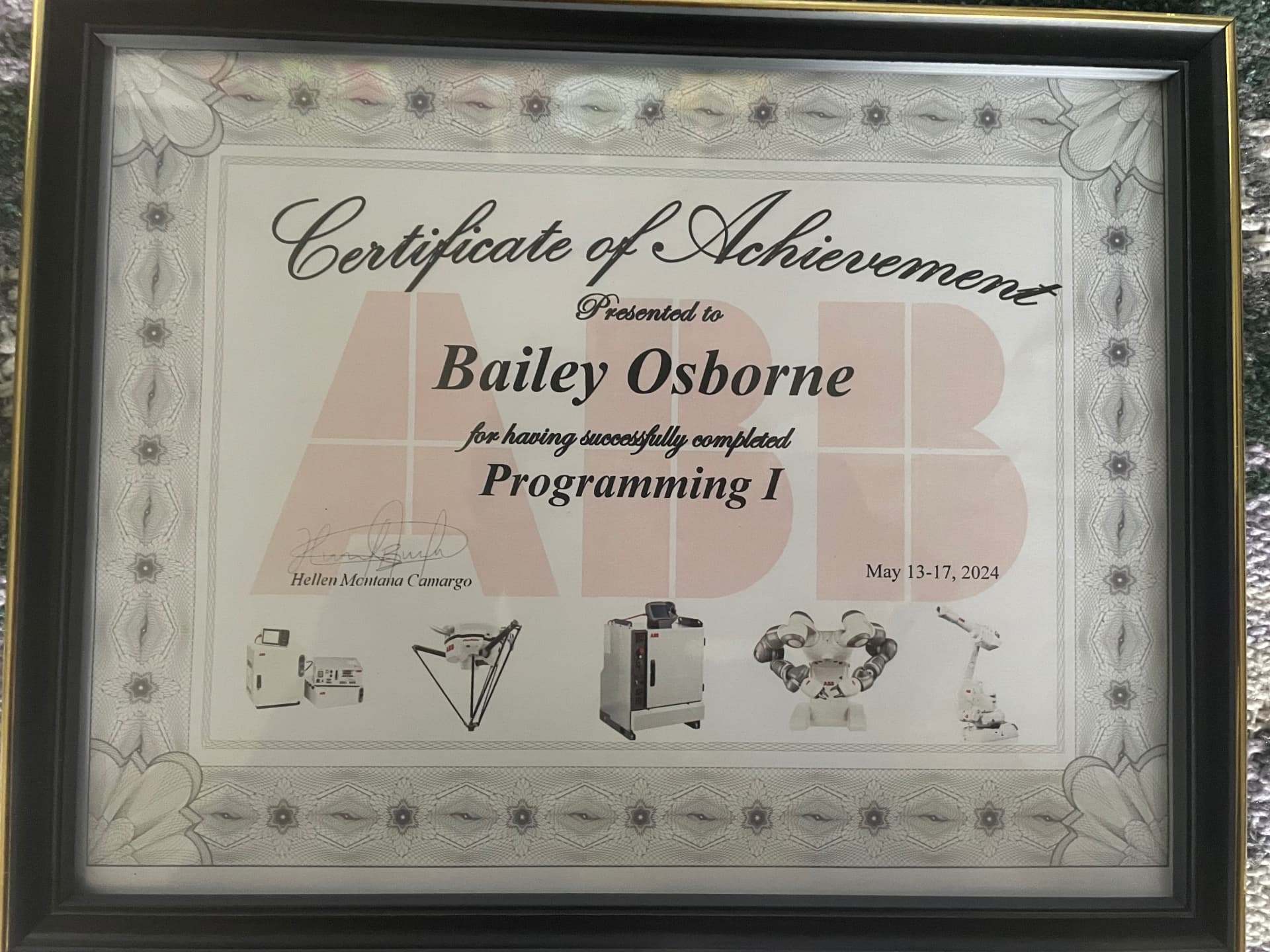 Bailey graduated from ABB Robotics
