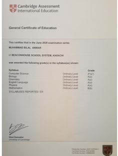 Profile photo of Bilal Anwar, undefined tutor at Wiingy