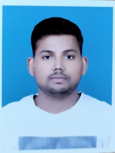 Profile photo of Priyanshu Raj , undefined tutor at Wiingy