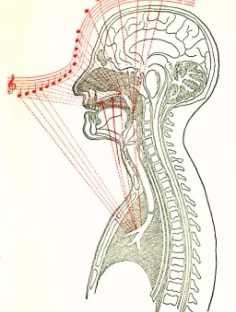 Profile photo of Mirriam Reyes, undefined tutor at Wiingy