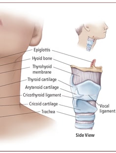 Profile photo of Makoto Ashley, undefined tutor at Wiingy