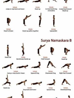 Profile photo of Shubham Sisodia , undefined tutor at Wiingy