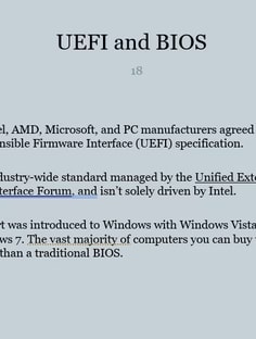 Profile photo of Senghor Etienne, undefined tutor at Wiingy