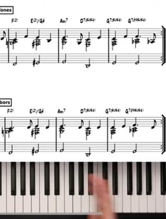 Profile photo of Alexander Ruiseco, undefined tutor at Wiingy