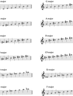 Profile photo of Padraig Lane, undefined tutor at Wiingy