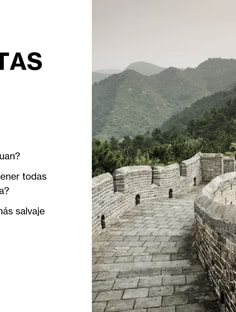 Profile photo of Tomás Isaza, undefined tutor at Wiingy