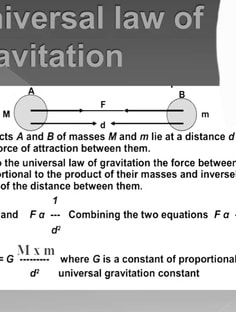 Profile photo of Priyanka Kumari, undefined tutor at Wiingy