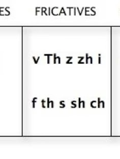 Profile photo of Abdiel Villarreal, undefined tutor at Wiingy