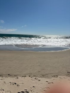 Profile photo of Patrick Lenon, undefined tutor at Wiingy