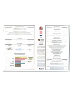 Profile photo of María Nargués Aghazadeh Valderrama, undefined tutor at Wiingy