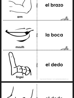 Profile photo of Carlos Zabala, undefined tutor at Wiingy