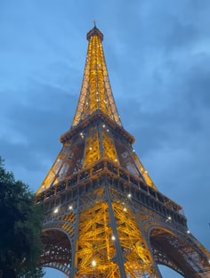 Profile photo of Célestin Klein, undefined tutor at Wiingy