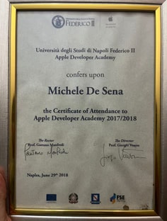 Profile photo of Michele De Sena, undefined tutor at Wiingy