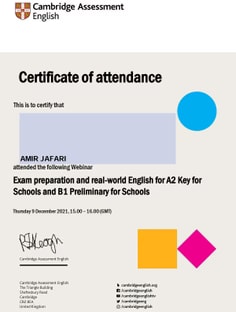 Profile photo of Amir Jafari , undefined tutor at Wiingy