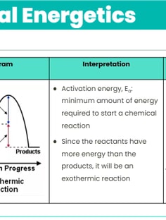 Profile photo of Mudasir Ahmad Hafiz, undefined tutor at Wiingy
