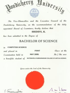 Profile photo of Sridevi M, undefined tutor at Wiingy