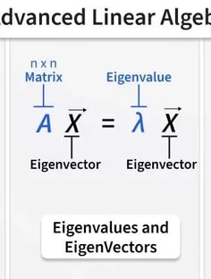 Profile photo of Yehuda Friedman, undefined tutor at Wiingy