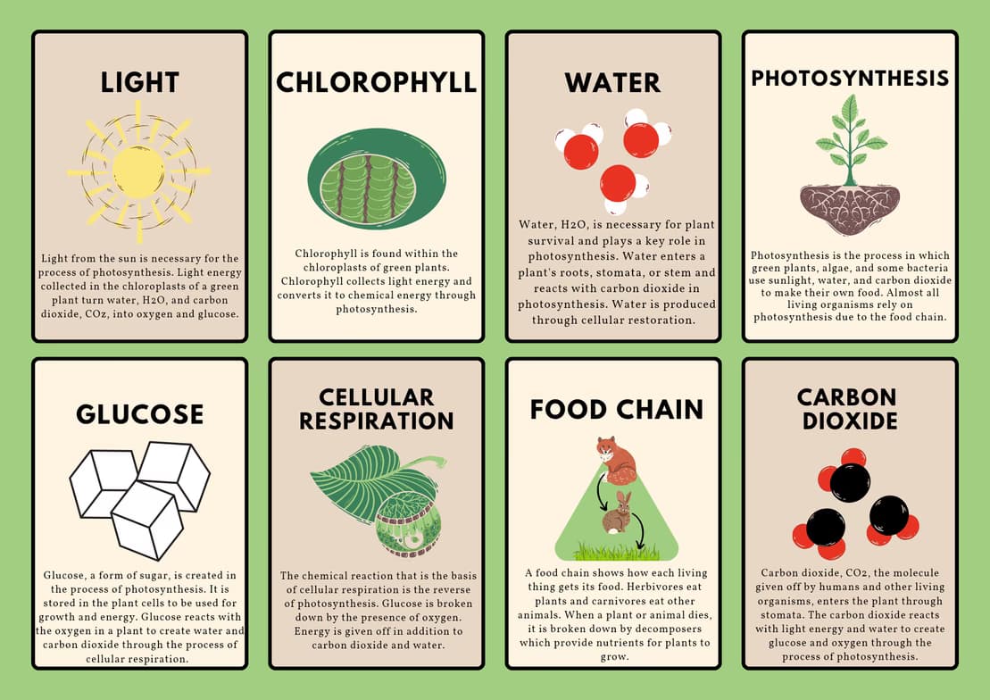 Live performance with Science by Tushar