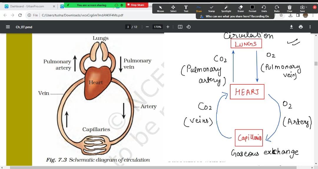 Live performance with Science by Tushar