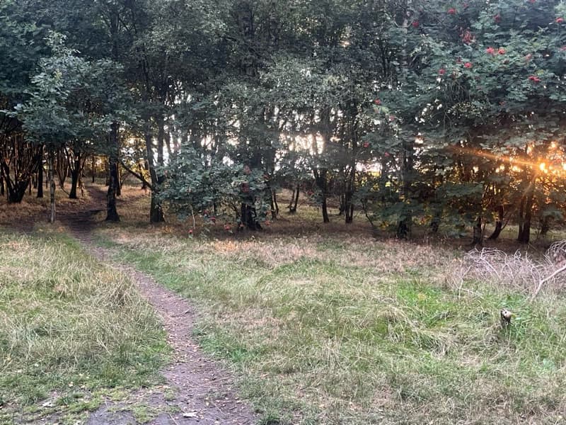 Mollie enjoying a hobby outside teaching