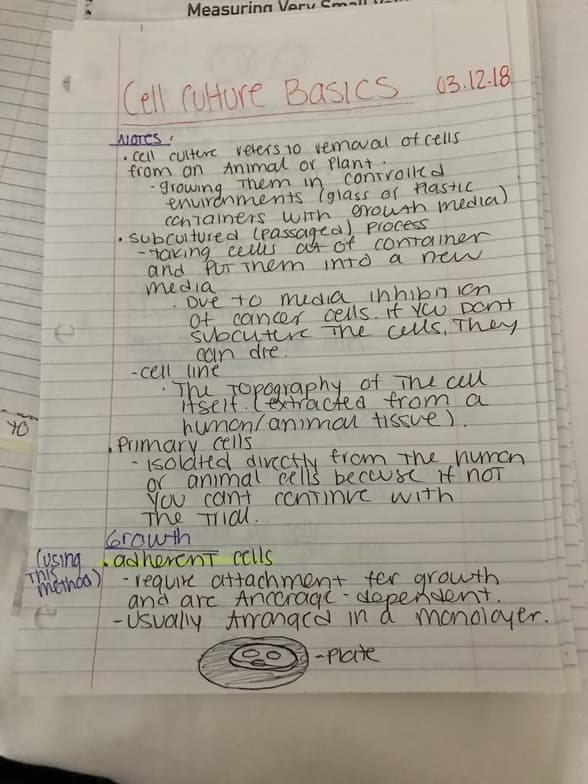 Biology learning materials by Valentina