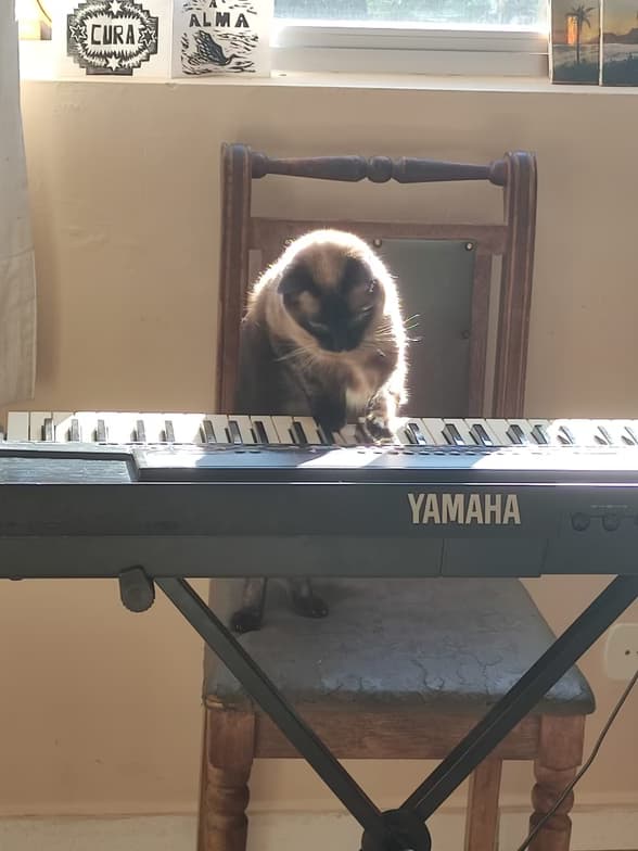 Teaching setup of Clarissa for private tutoring