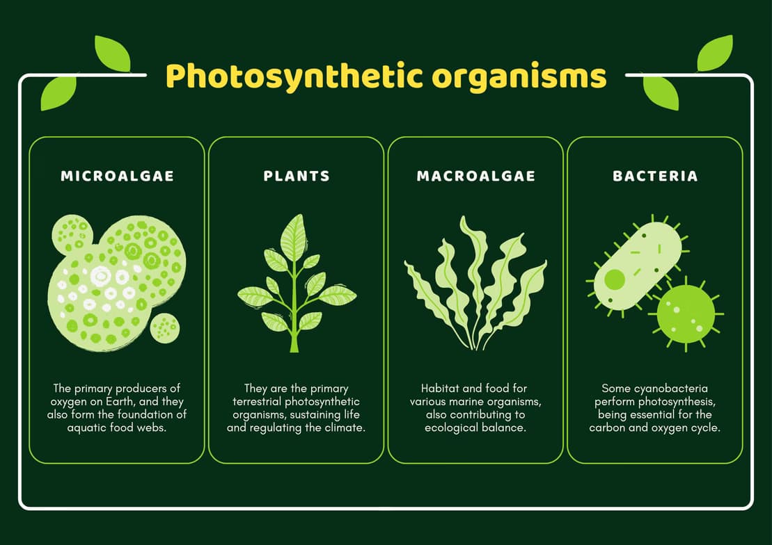 Biology learning materials by Thandeka