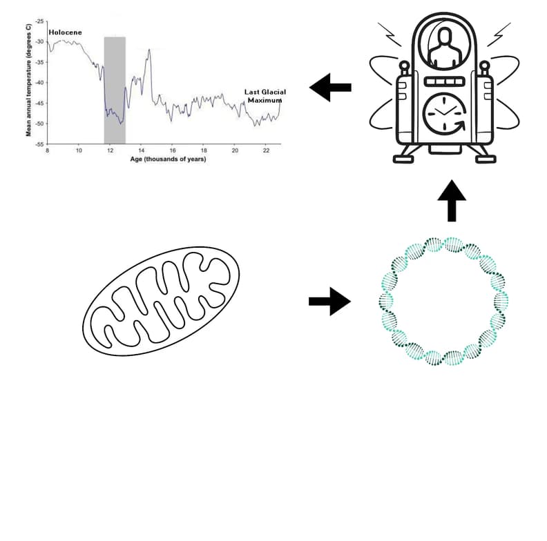 Live performance with Biology by SUPRIYA