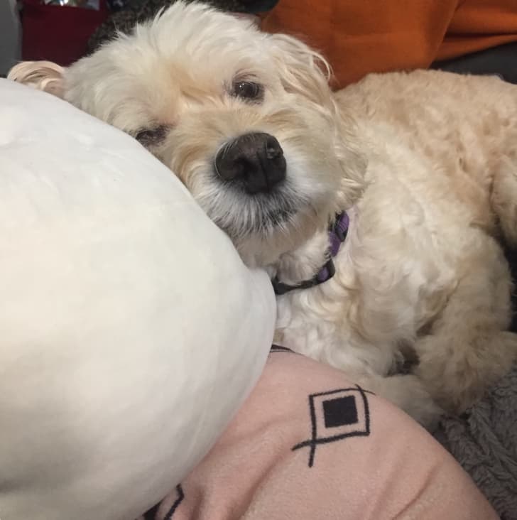 Tessenjoying a hobby outside teaching