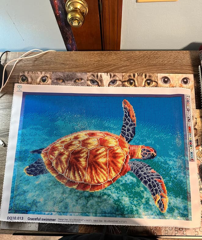 Oliviaenjoying a hobby outside teaching