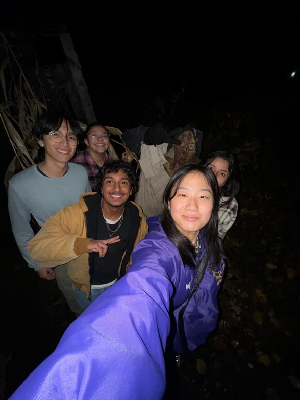 Profile photo of Don, Economics tutor at Wiingy