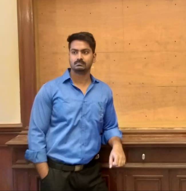 Profile photo of Saurabh, Data Science tutor at Wiingy