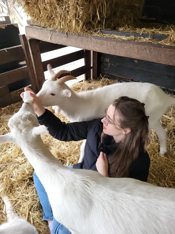 Profile photo of Rachel, English tutor at Wiingy