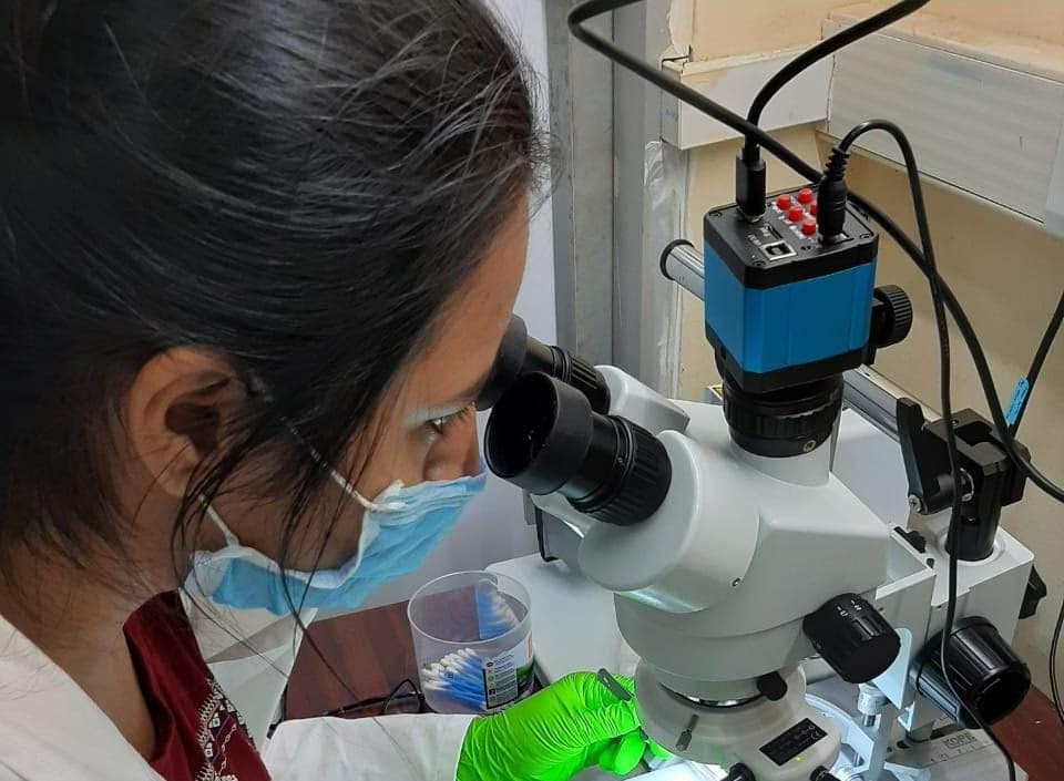 Profile photo of Palak, Biology tutor at Wiingy