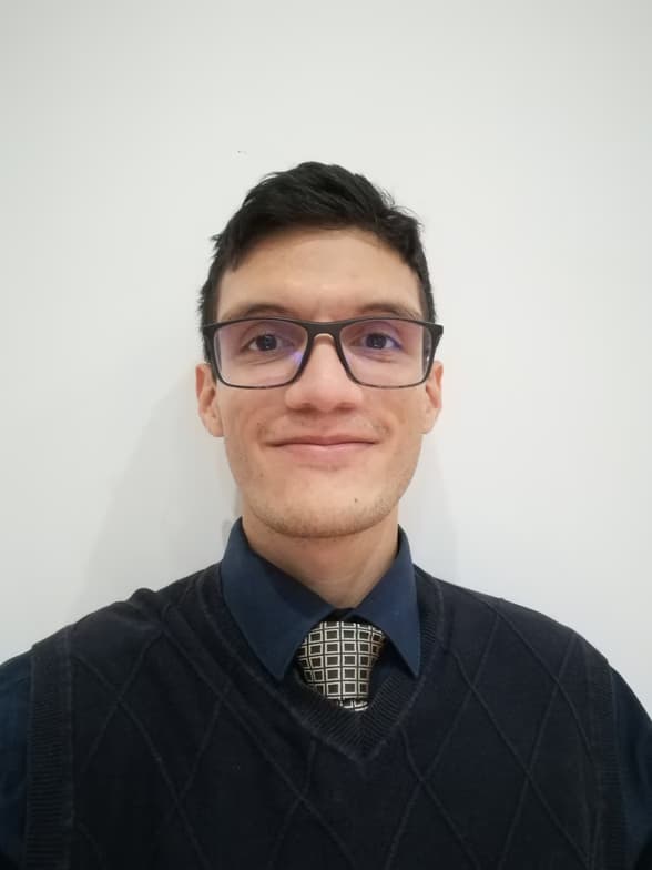 Profile photo of Diego, Physics tutor at Wiingy