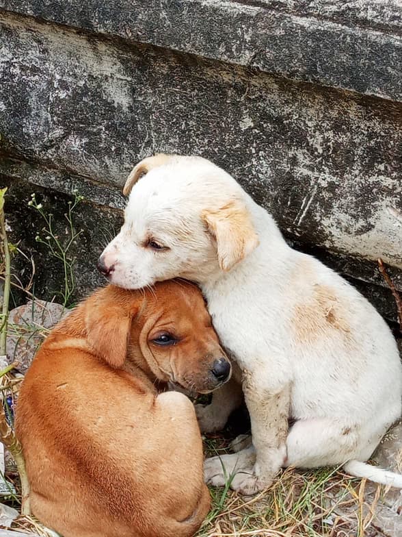 AASTHAenjoying a hobby outside teaching