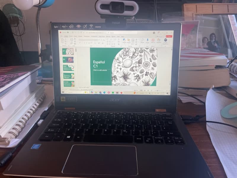 Maria conducting a lesson