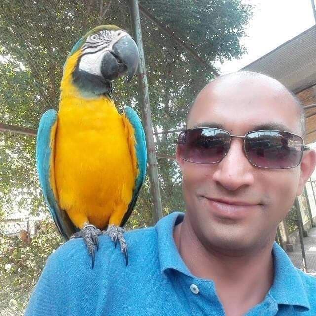 Profile photo of Muhtadi, English tutor at Wiingy