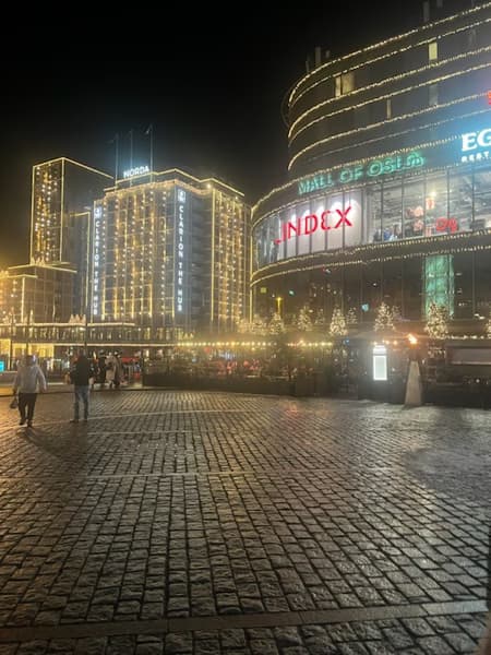 Travel snapshot of Aman during a trip