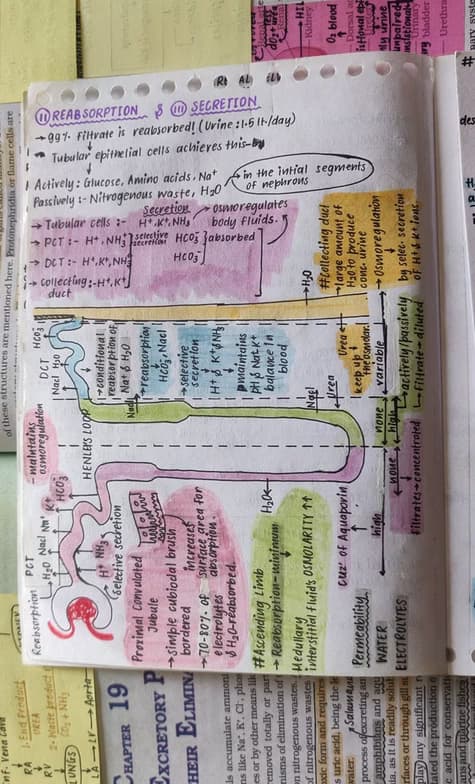 Biology learning materials by Noor