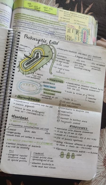 Biology learning materials by Noor