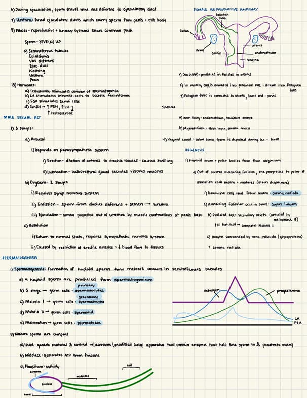 Live performance with ACT by Shivani