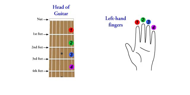 Guitar learning materials by Mariano