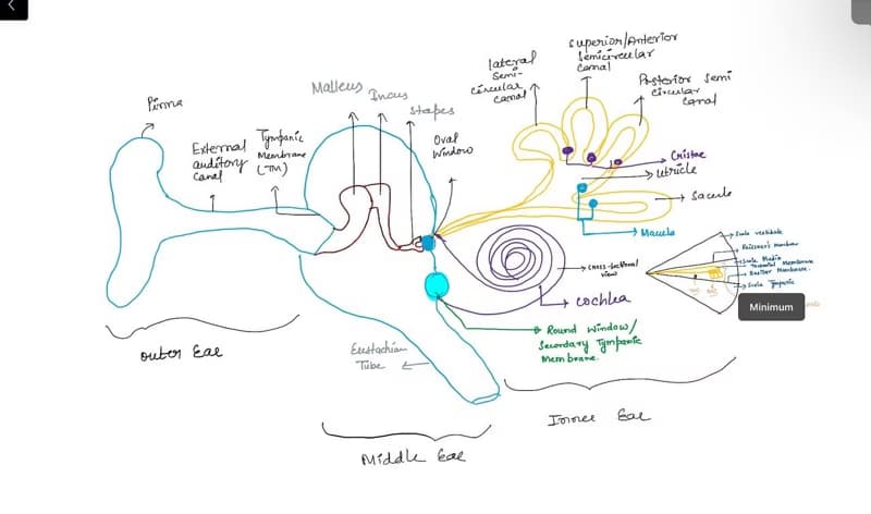 Biology learning materials by Dr Shaksshi